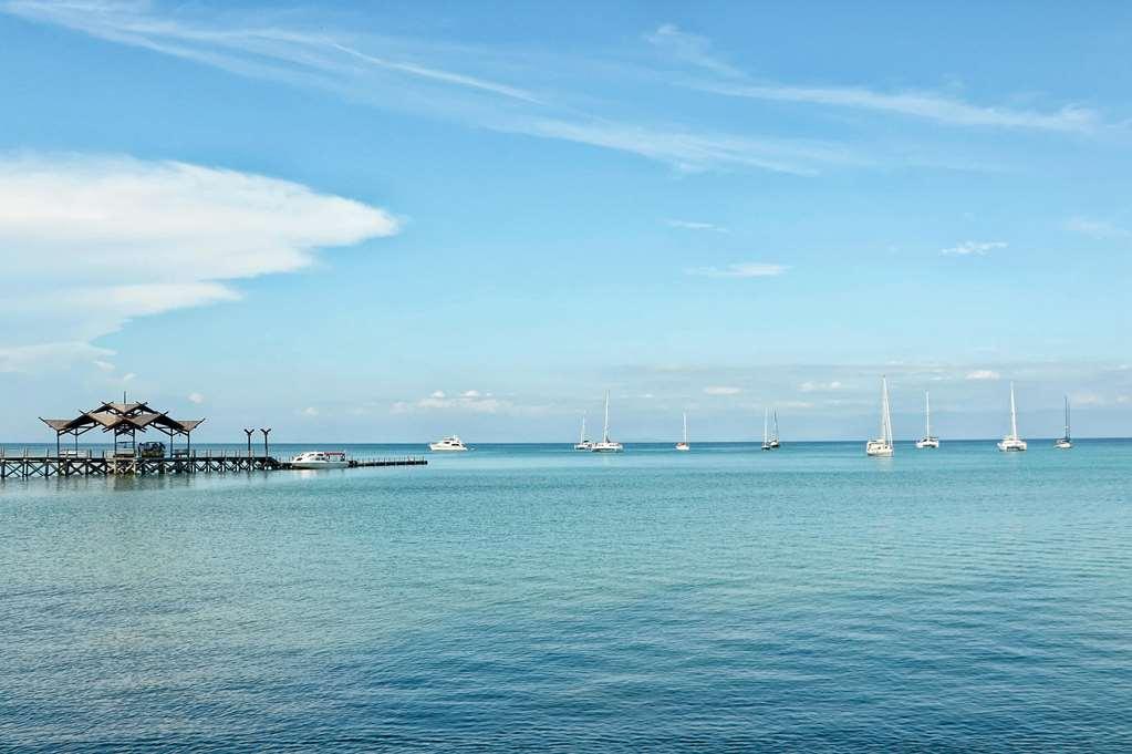 Borneo Eagle Resort Kota Kinabalu Nature photo