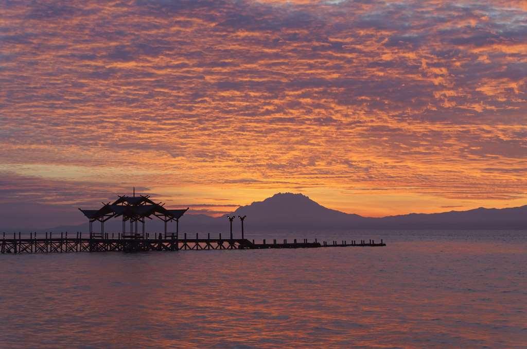 Borneo Eagle Resort Kota Kinabalu Nature photo